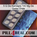 5 G De Kamagra 100 Mg De Gelée Orale 34